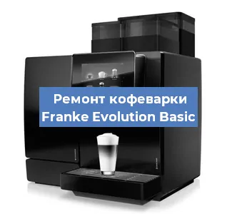 Декальцинация   кофемашины Franke Evolution Basic в Тюмени